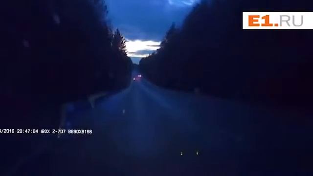 ШОК лось выбежал на дорогу смотреть онлайн