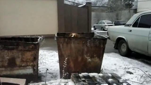 (прикол) ты не ты когда голодный смотреть онлайн