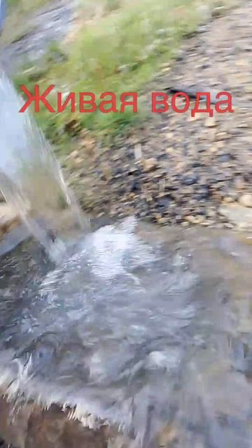 Живая вода, бесценный родник.