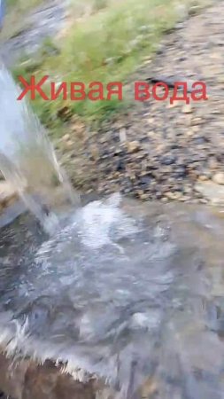Живая вода, бесценный родник.