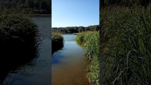 Первый раз на рыбалке. Только мы расположились, как кто-то показался на горизонте.
