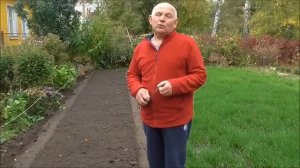 КАК САЖАТЬ #ЧЕСНОК И #ЛУК