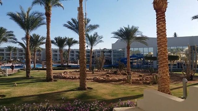 Шарм. Територія отеля Aurora Oriental Resort *5 смотреть онлайн