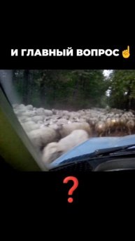 Авто