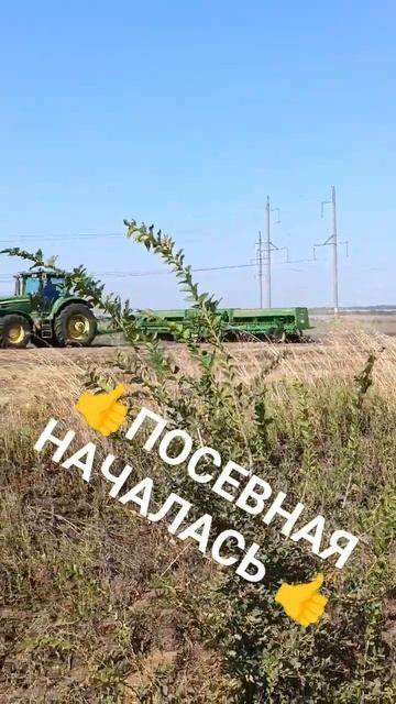 ПОСЕВНАЯ 2023 #город61 #озимаяпшеница #озимая #посевная #sh смотреть онлайн