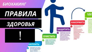Концепция здоровья за 10 минут.