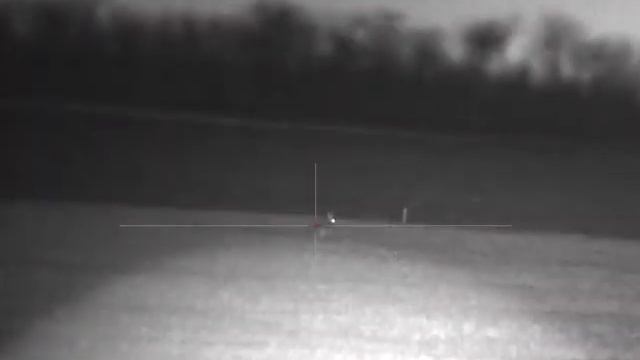 Pulsar Digex n455 охота на зайца с подхода смотреть онлайн