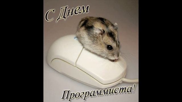 С ДНЕМ ПРОГРАММИСТА. 13 сентября