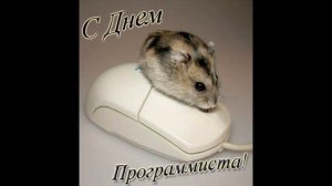 С ДНЕМ ПРОГРАММИСТА. 13 сентября