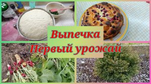 06-05-2025 День выпечки.Не погода.Первый урожай