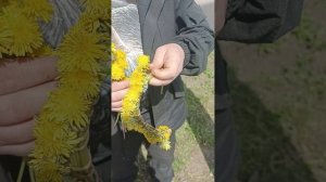 техника вязания венка из одуванчиков
