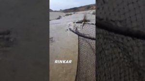 Кентау. Кентауская рыбалка! Тазик карасей за час!