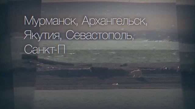 Киномарафон Содружество Арктических фестивалей