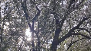 Большой влог за две недели.