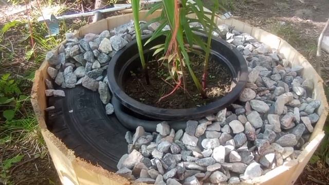 Кашпо на дачу своими руками