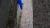Сегодня на даче, а вечером попали под ливень...