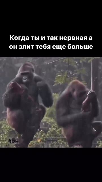 Ты не обязана быть удобной, чтобы тебя любили.
В паре личные границы — это не стена.