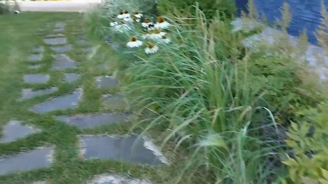 Как наш ландшафтный дизайн расцвел с годами!