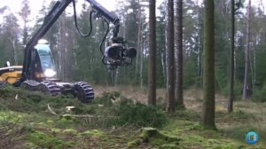 Машина для рубки леса
