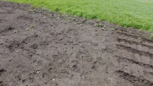 Сеем 🍉 дыни, 🌽, свеклу.В селе у СВЕКРУНЬКИ🙋♀️🏡🌞