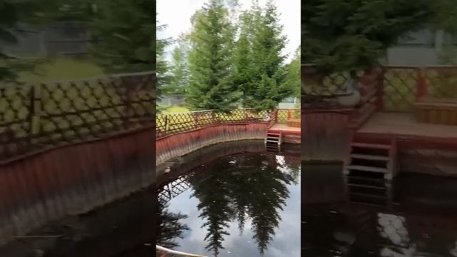 Покос травы на участке 🥵