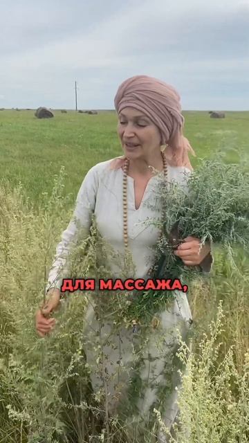 Аптекарский огород. Полынь.#таймассаж #обучение #нинад смотреть онлайн