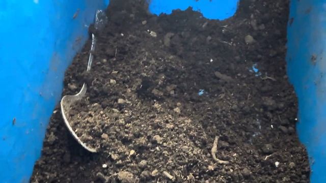 Готовим землю к посеву семян Табака смотреть онлайн