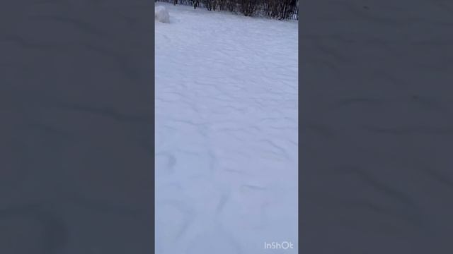 Я верю в чудеса и прошла марафон Елены Блиновской