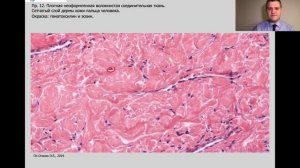 ПРЕПАРАТЫ ПО ОБЩЕЙ ГИСТОЛОГИИ  (диагностика и обоснование на коллоквиуме и экзамене)
