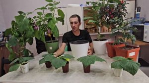 Повторное использование и обработка грунта из комнат?