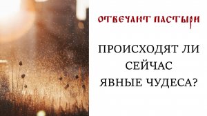 Отвечают пастыри: Происходят ли сейчас явные чудеса?