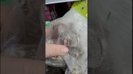 Поехали в Леруа за георгинами #дача #сад #георгины #garden