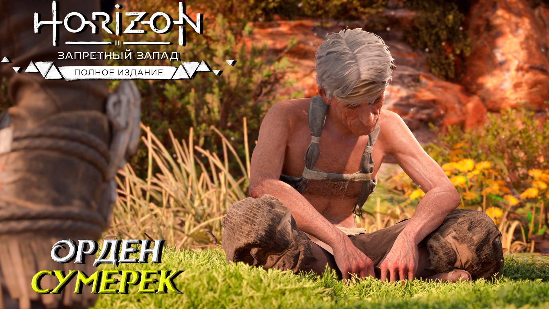 ОРДЕН СУМЕРЕК ➤ Horizon Forbidden West #6