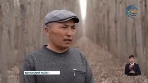 Он посадил 6000 тополей, чтобы защитить свою деревню от ?