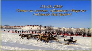 23.03.2025  Нарьян-Мар. Гонки на оленях «Сямянхат Мерета» («Самый быстрый»)