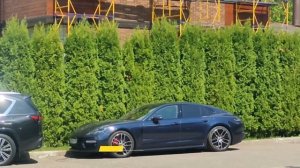 Живая изгородь из разных туй! Смарагд или Брабант, вот