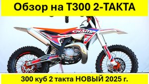 Т-300 два такт от Мотобазыбиз 8-961-293-43-63