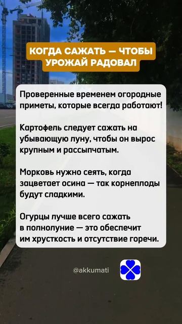 Когда сажать - чтобы урожай радовал @Akkumati - copyright