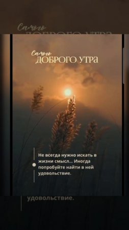 Доброе утро #доброеутро #благодарность
