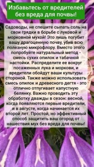 Избавьтесь от вредителей без вреда для почвы!