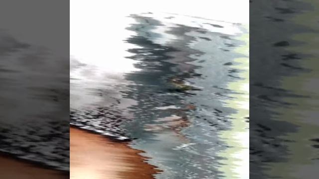 БП бомба)