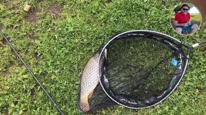 Очень много карпа!!! 🐟 Рыбалка на Фидер.