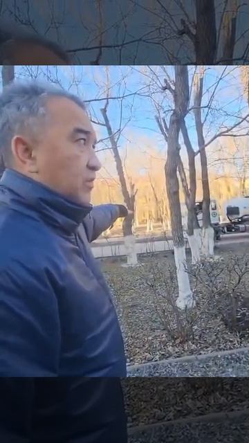 В Караганде занялись пересадкой кустарников вдоль до?