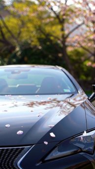 Lexus lc