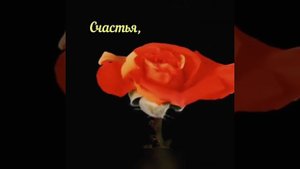 С днём рождения Лена!