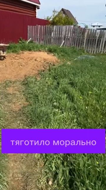 Начало стройки века. #дача #декоративныерастения #сад #