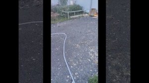 дорожка в газоне прижилась, готовим остаток участка н?