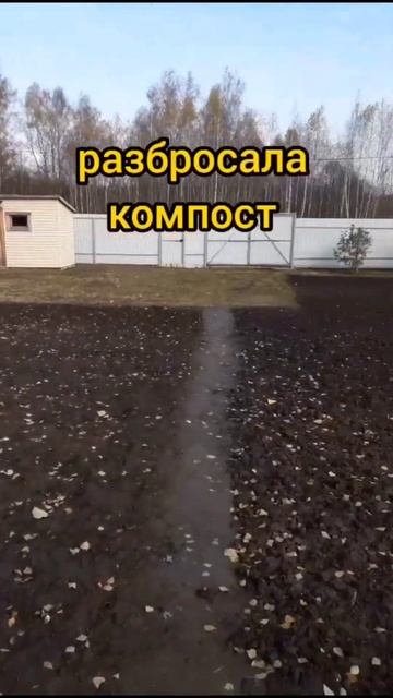 Уборка огорода осенью