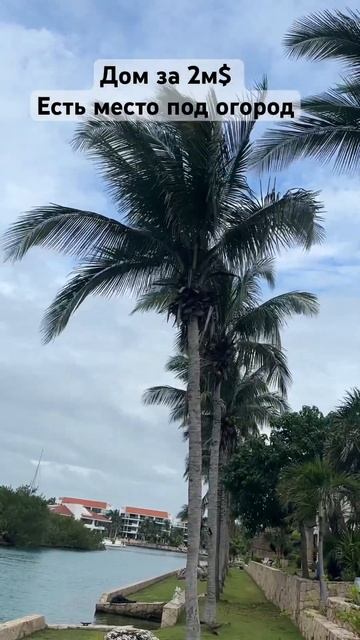 Дома за 2 ляма баксов - есть место посадить картошку ! смотреть онлайн