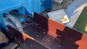 d6bd3ee5-dfdf-43d6-b590-cc0c4829f0d6